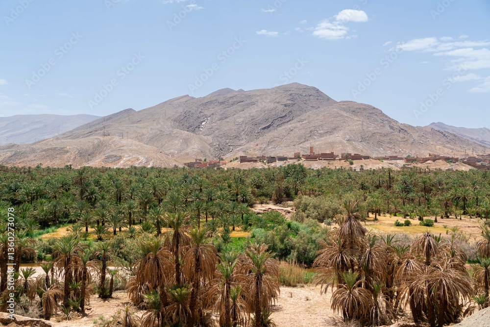 palms trees valley oasis with citadel with bigs mountains and cloudy sky palms trees valley oasis with citadel with bigs mountains and cloudy sky