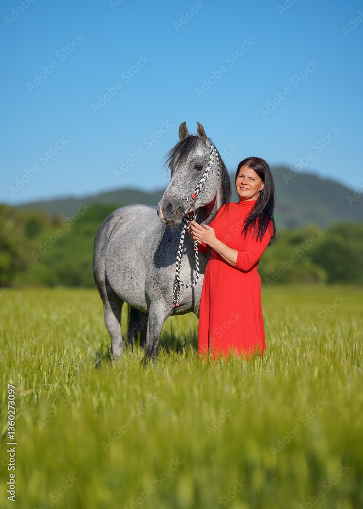 Woman with dark hair and bright red dress walking her Arabian gray horse in green field on sunny day, smiling as animal eats grass