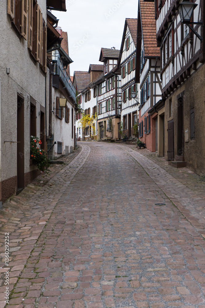 Fototapeta premium Eine Gasse mit Fachwerkhäusern in Schiltach im Schwarzwald