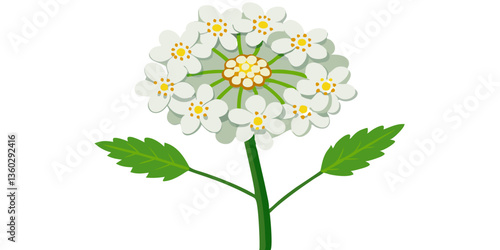 Bouquet of flowers isolated on transparent background , flower, isolated, plant, white, leaf, green, nature, blossom, pink, spring, floral, flowers, yellow, bloom, petal, stem, wild, beautiful, flora,