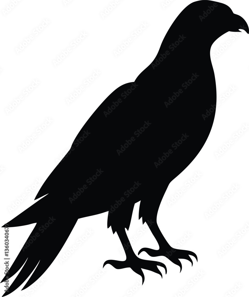Fototapeta premium Black and white parrot silhouette, ideal for logos, branding, and wildlife-themed digital art.