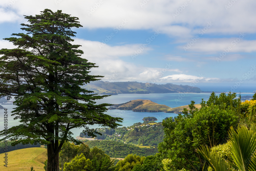 Obraz premium Beautiful view from Larnach Castle over the Otago harbor on a sunny day. Dunedin, New Zealand