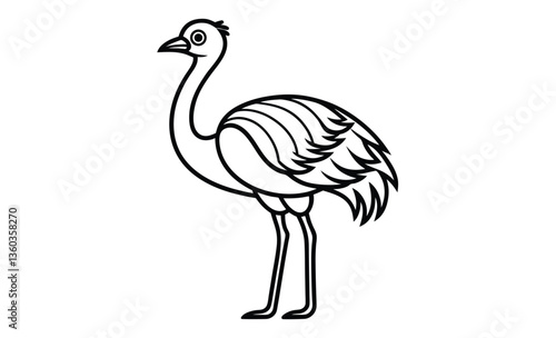 Ostrich emu bird silhouette, Emu silhouette vector, ostrich emu bird vector illustration