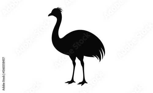 Ostrich emu bird silhouette, Emu silhouette vector, ostrich emu bird vector illustration