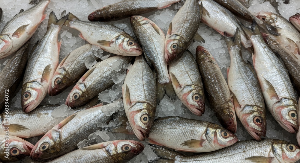 Obraz premium Fresh Fathead Minnows on Ice at Supermarket - Fresh, icy cold fathead minnows, ready for sale, symbolize freshness, quality, abundance, food source, and healthy eating.