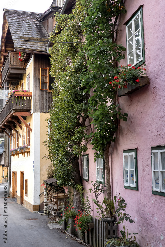 Obraz premium Summer holidays in Hallstatt Austria