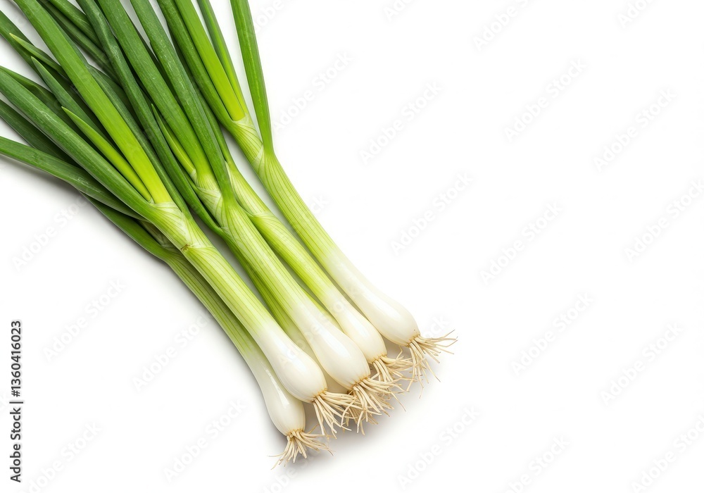 Fresh bunch of green onions isolated on white background Fresh bunch of green onions isolated on white background