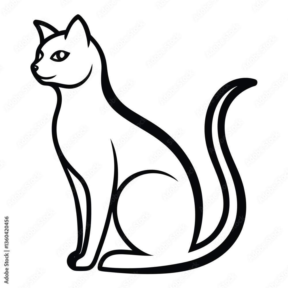 black and white cat black and white cat