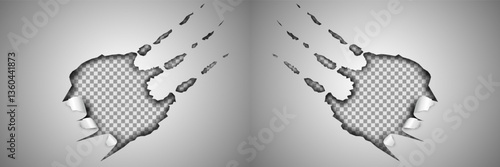 Claws scratches on transparent background	