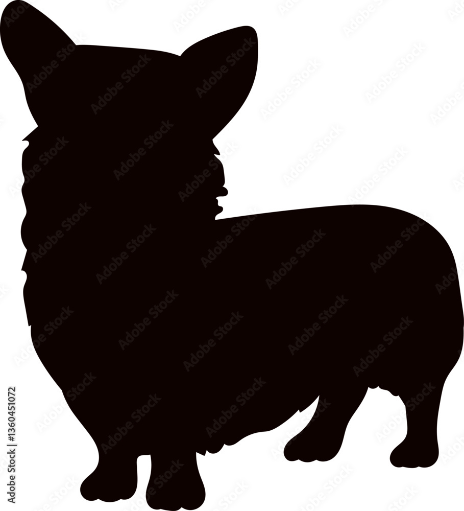 Obraz premium Corgi dog standing silhouette, vector