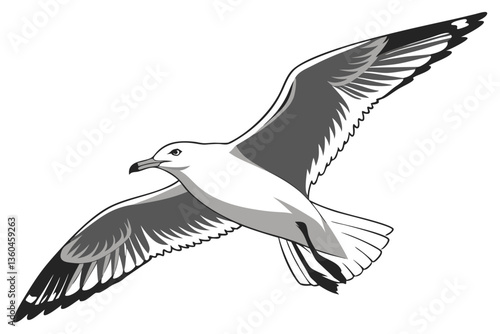 Realistic Flying Seagull Vector Art for Designers