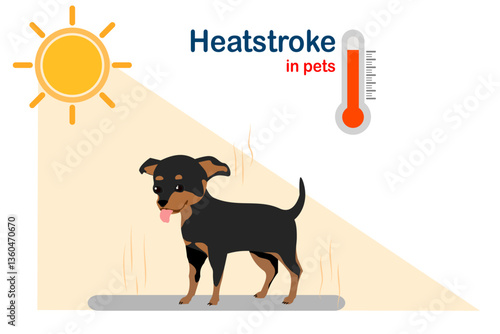 Flat illustration, Chihuahua dog standing outdoors in high temperature, heatstroke concept in animals
