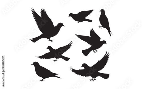 vector silhouettes of pigeons