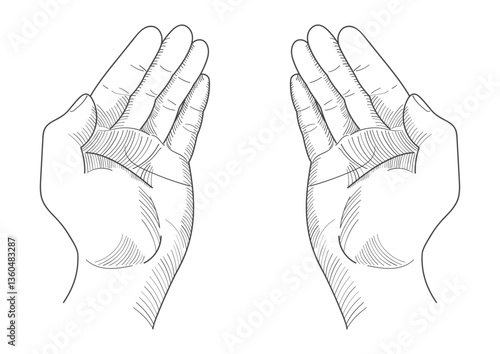 Hand drawn sketch of two open hands facing upwards, symbolizing acceptance or prayer. Perfect for concepts such as generosity, spirituality, devotion, gratitude, or healing