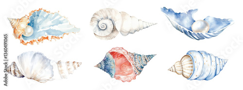 Seashells watercolor vector illustration set, underwater ocean animal art isolated on white background