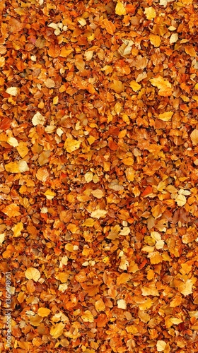 Close-up of orange polished stones. Decorative texture.  Possible use Background
