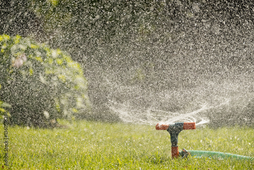 Watering garden with a hose at heat summer. Close up. Automatic smart irrigation system.