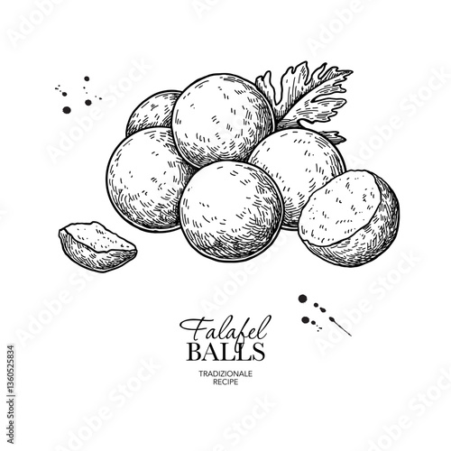 Falafel balls and parsley leaves vector drawing. Fried chickpea balls pieces sketch. Arabic halal food illustration. 