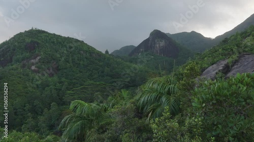 Morning view from Anse Major trail on Mahe Island, Seychelles, featuring tropical jungle, granite mountains, and soft sunrise light for travel and nature themes
