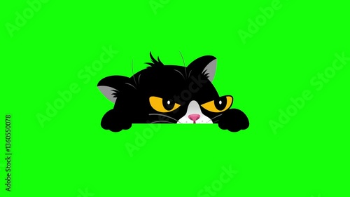 Green screen cat animation. Animated black cat peeks out from its hiding spot, cautiously surveying its surroundings. Chroma key. 4K. Seamless loop. Perfect for pet ads and cat-themed video edits.