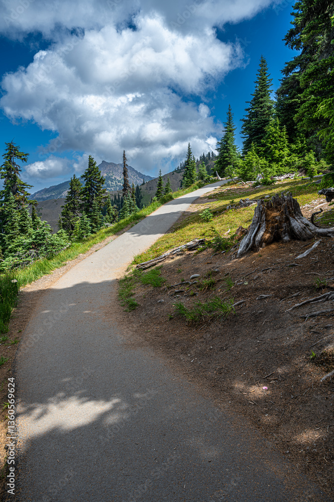 Walkway at the Hurricane Ridge in the Olympic National Park, WA