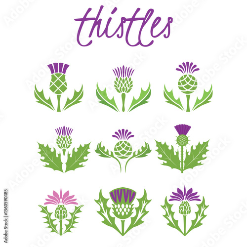 Set of thistles on white background. 