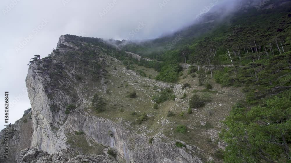 Mountain peaks with dense forest in the haze, low clouds floating above it Mountain peaks with dense forest in the haze, low clouds floating above it