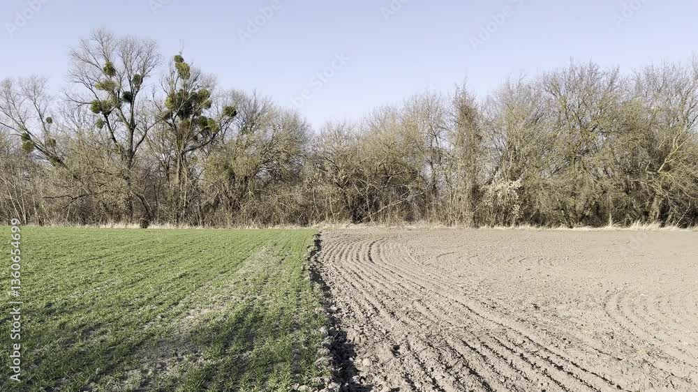 The Essence of Farming: Observing Plowing and Initial Growth The Essence of Farming: Observing Plowing and Initial Growth