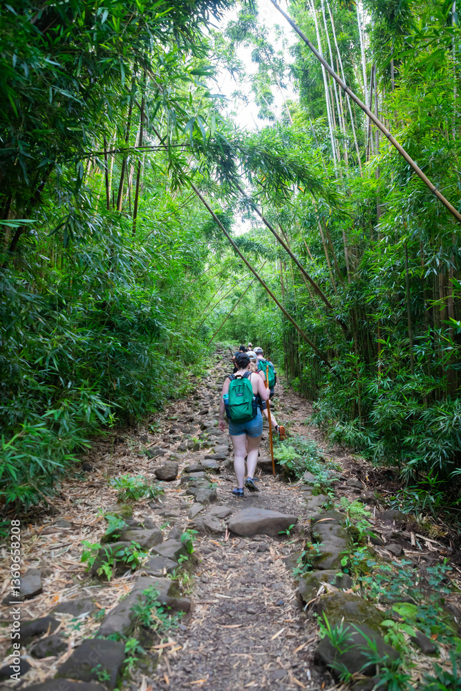 Obraz premium Hikers on path through bamboo forest