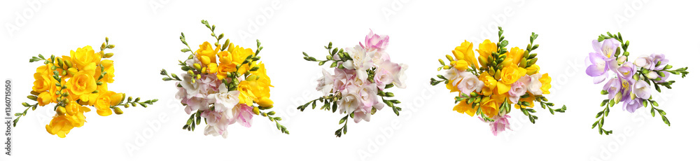 Fototapeta premium Beautiful freesia flowers on white background, set. Top view