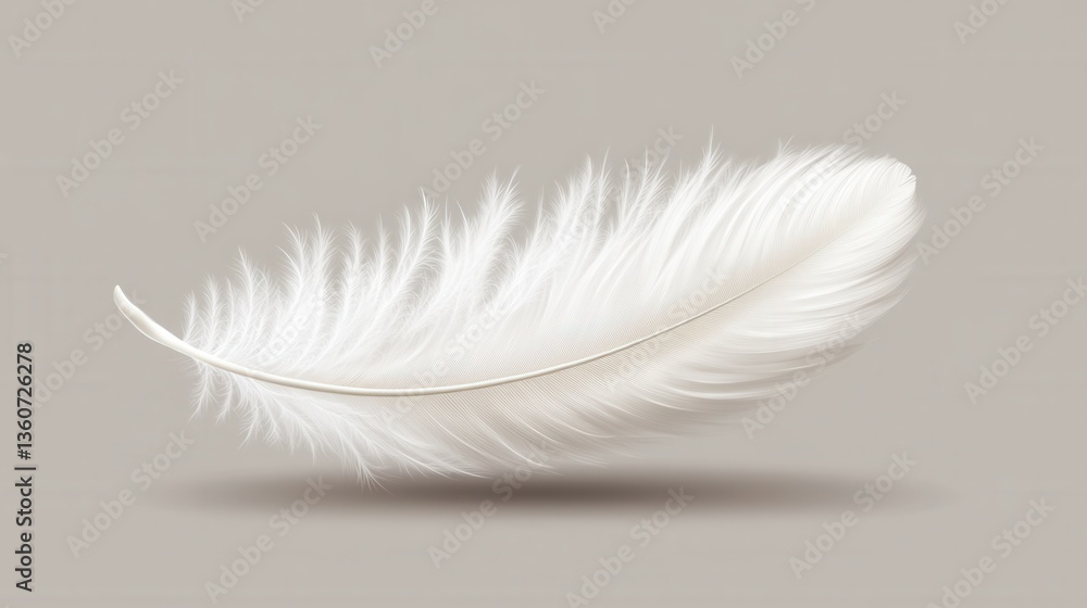 Obraz premium Delicate white feather against soft gray background