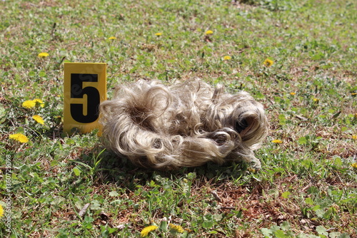 A blonde woman wig and an evidence marker.