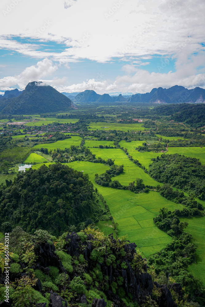 Obraz premium Rice Fields Viewpoint - Portrait View 