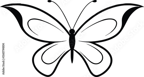 butterfly vector illustration