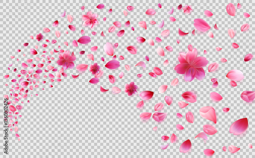 A vector illustration of cherry blossom petals and flowers floating in the air. The design features a transparent background, making it perfect for overlays, compositions, and decorative elements for 