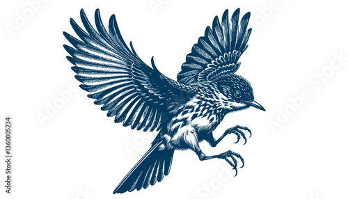 Restless flycatcher bird engraving vector illustration