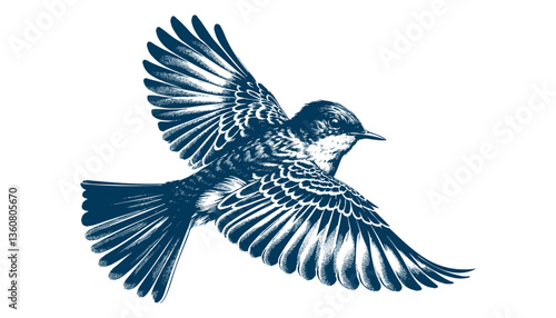 Restless flycatcher bird engraving vector illustration