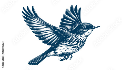 Restless flycatcher bird engraving vector illustration