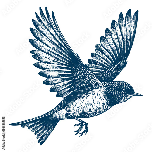 Restless flycatcher bird engraving vector illustration