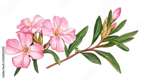 Beautiful branch of pink flowers with lush green leaves, set against a white background, ideal for nature-themed designs