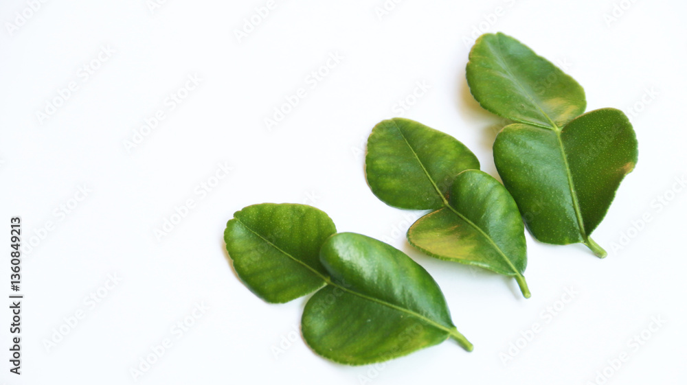 Obraz premium Fresh kaffir lime leaves or daun jeruk purut on isolated white background