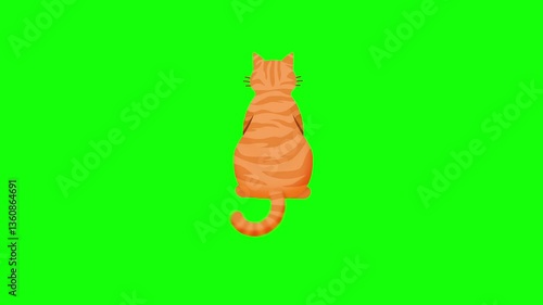 Green screen cat animation. An orange cat sits with its tail gently swaying. Back view. Chroma key. 4K. Seamless loop. Perfect for pet commercials, cat-themed video edits, and pet care tutorials.