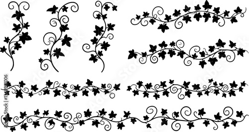 vector illustration, seamless pattern, decorative black and white curly ivy branches with leaves
