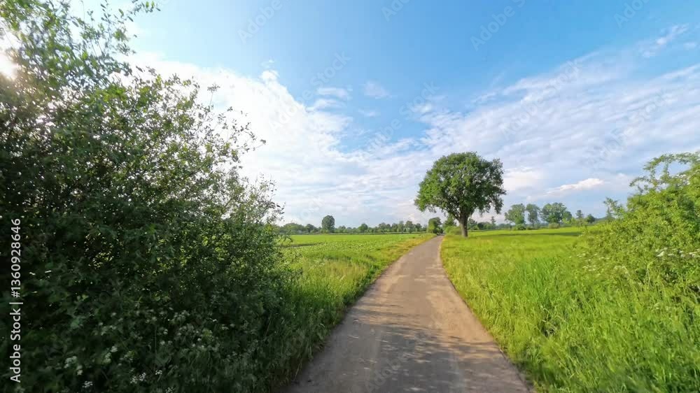 Enjoy a Scenic Country Road, adorned with Lush Green Fields under a Clear Blue Sky Hannover Isernhagen Wietzepark Enjoy a Scenic Country Road, adorned with Lush Green Fields under a Clear Blue Sky Hannover Isernhagen Wietzepark