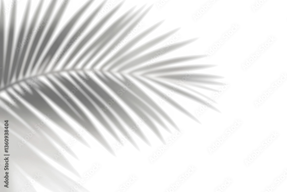 Natural palm branch shadow on transparent background. Tropical palm leaf shadow overlay effect. PNG file, cut-out, ideal for summer design elements
Natural palm branch shadow on transparent background. Tropical palm leaf shadow overlay effect. PNG file, cut-out, ideal for summer design elements