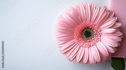  pink passport case with flower