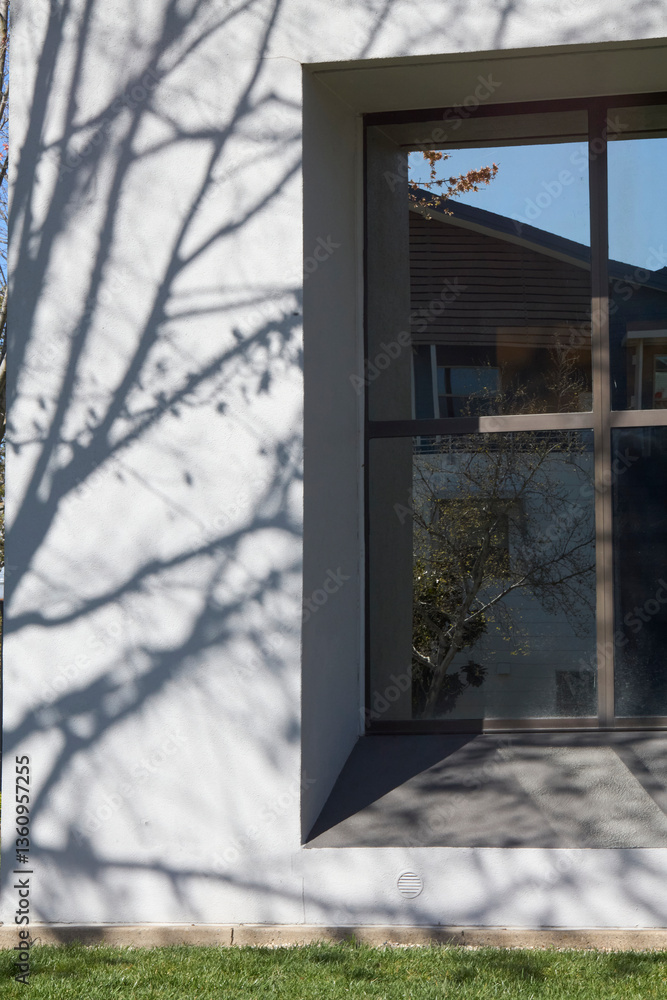 Naklejka premium Tree Reflection on Modern Building Windows