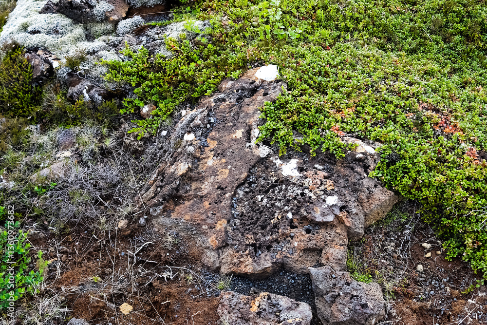 Volcanic rock formation partially covered by moss and lichen in Iceland Volcanic rock formation partially covered by moss and lichen in Iceland
