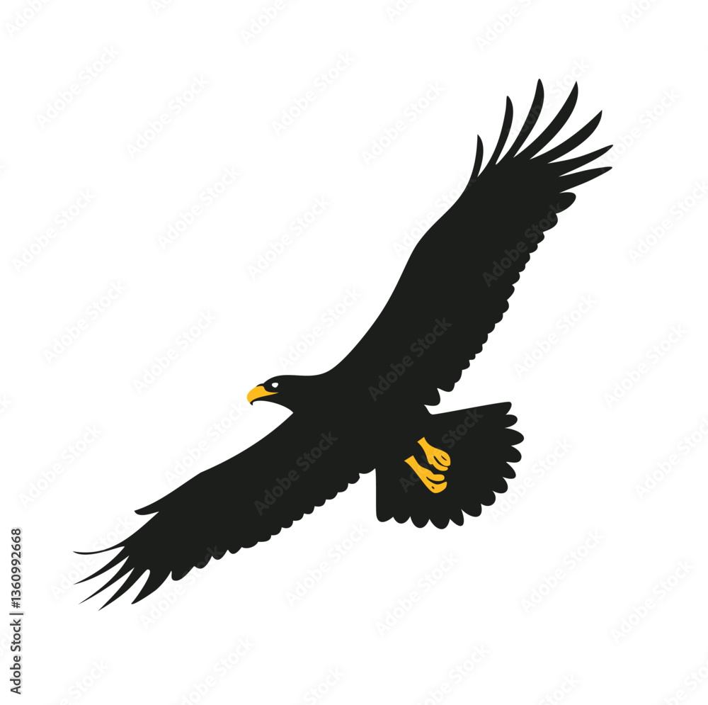 Obraz premium eagle in flight