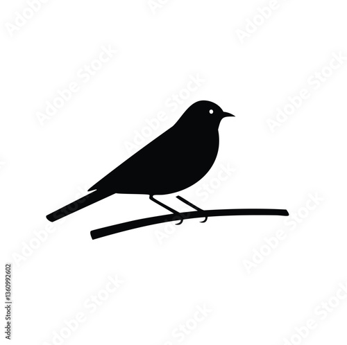 blackbird on a branch
